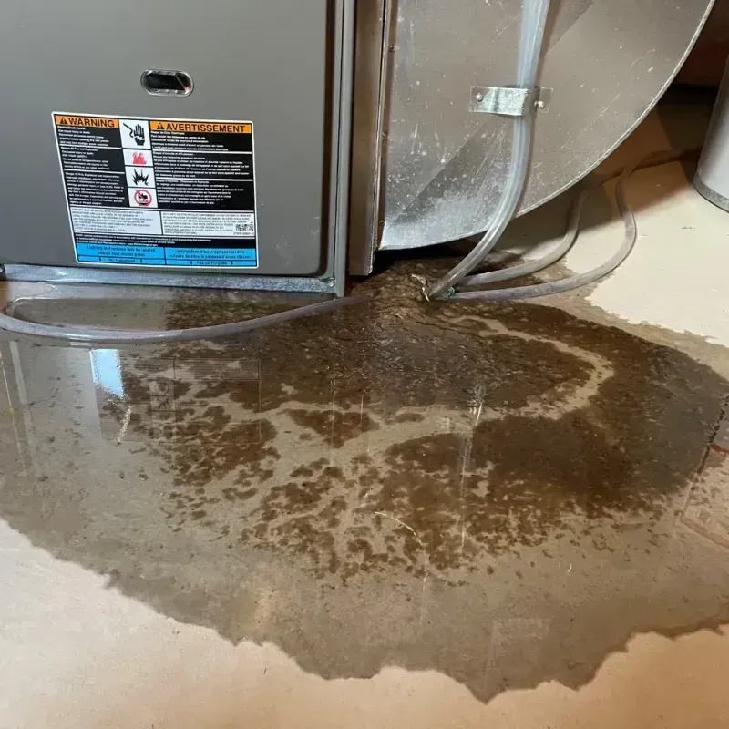 Appliance Leak Cleanup in Robbinsville, NJ